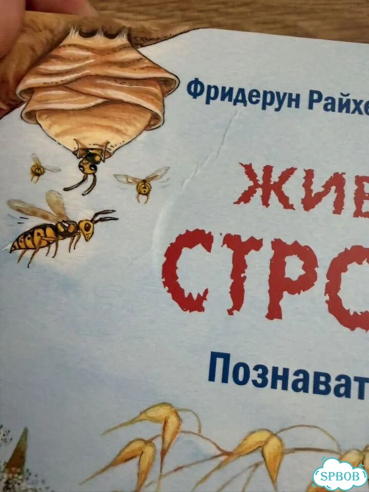 Книги Райхенштеттер животные строители Энас книга фото 6