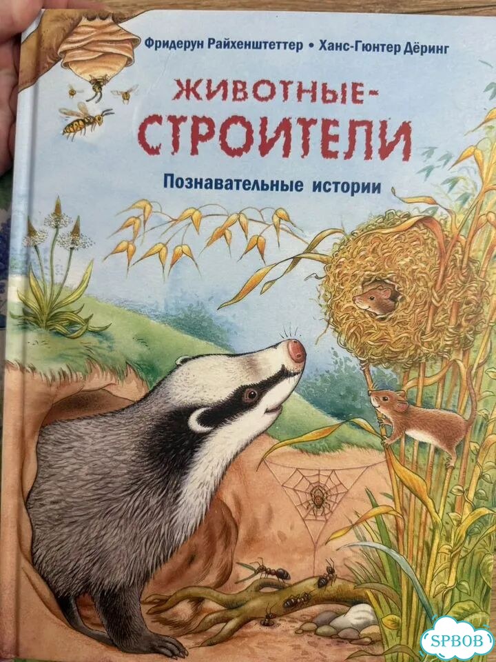 Книги Райхенштеттер животные строители Энас книга фото 7