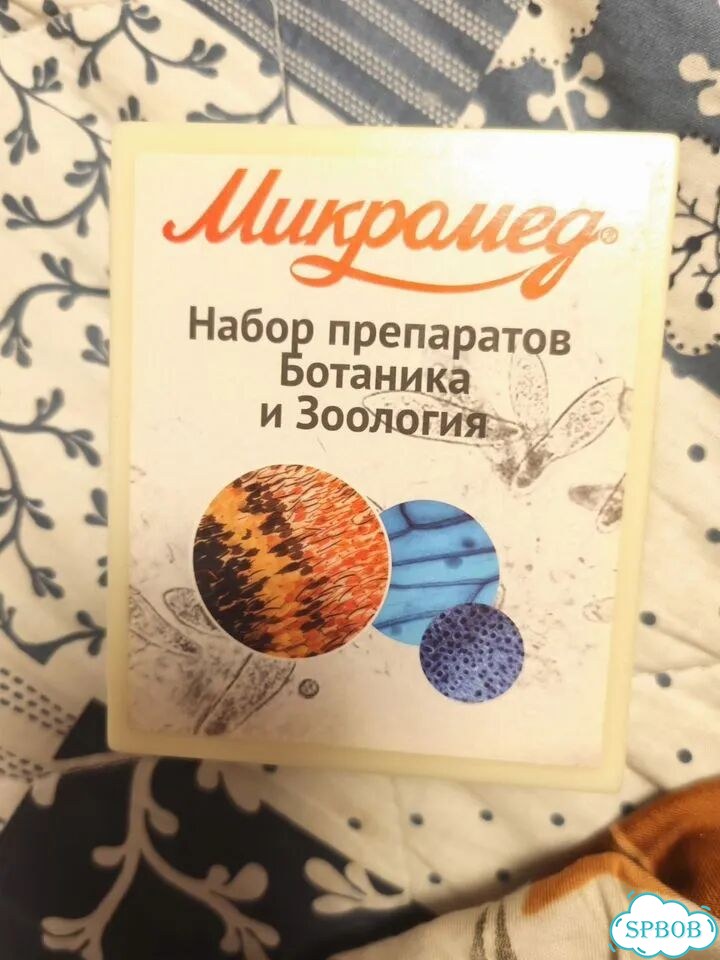 Набор препаратов для микроскопа фото 1