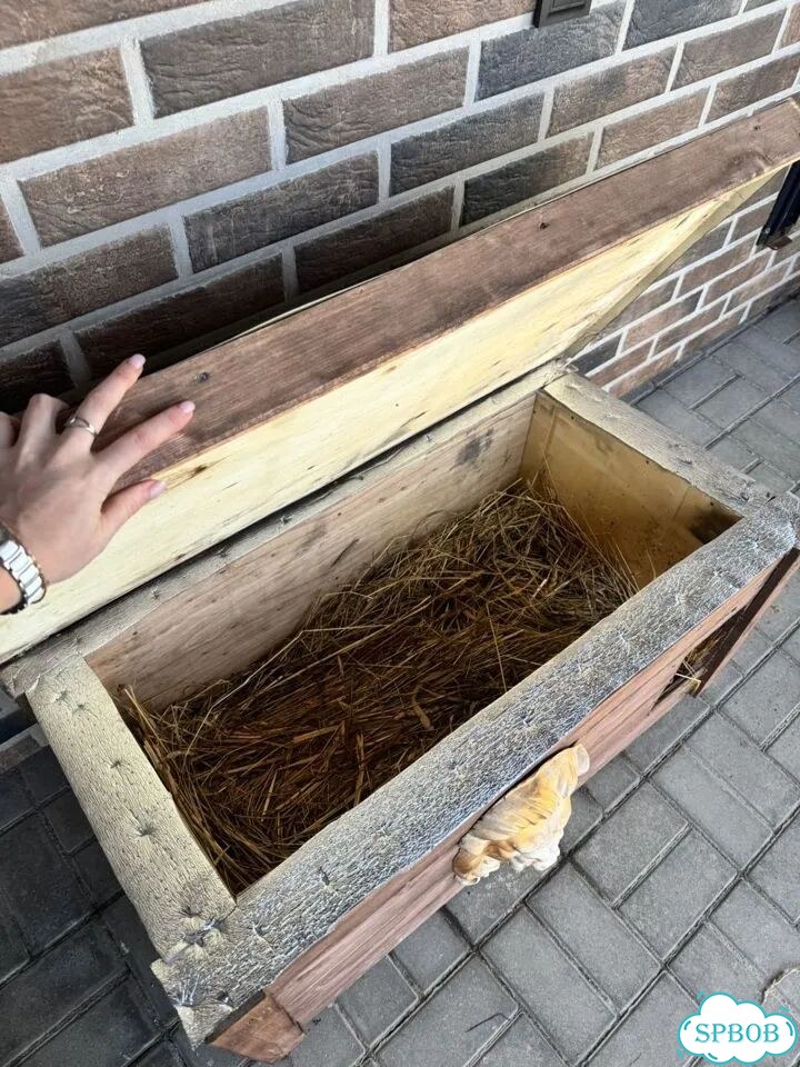 Будка для собак и кошек фото 4