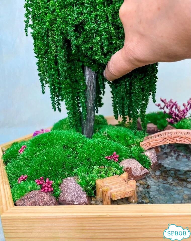 Деревья разные из стабилизированных растений фото 10