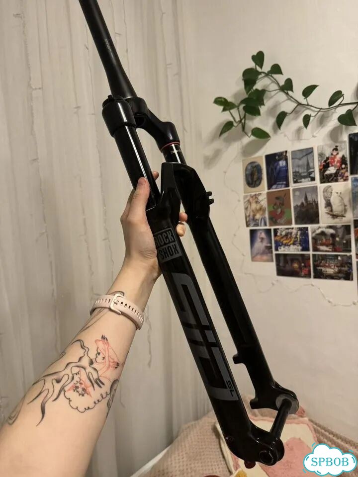Вилка RockShox SID RL 29 Boost фото 3