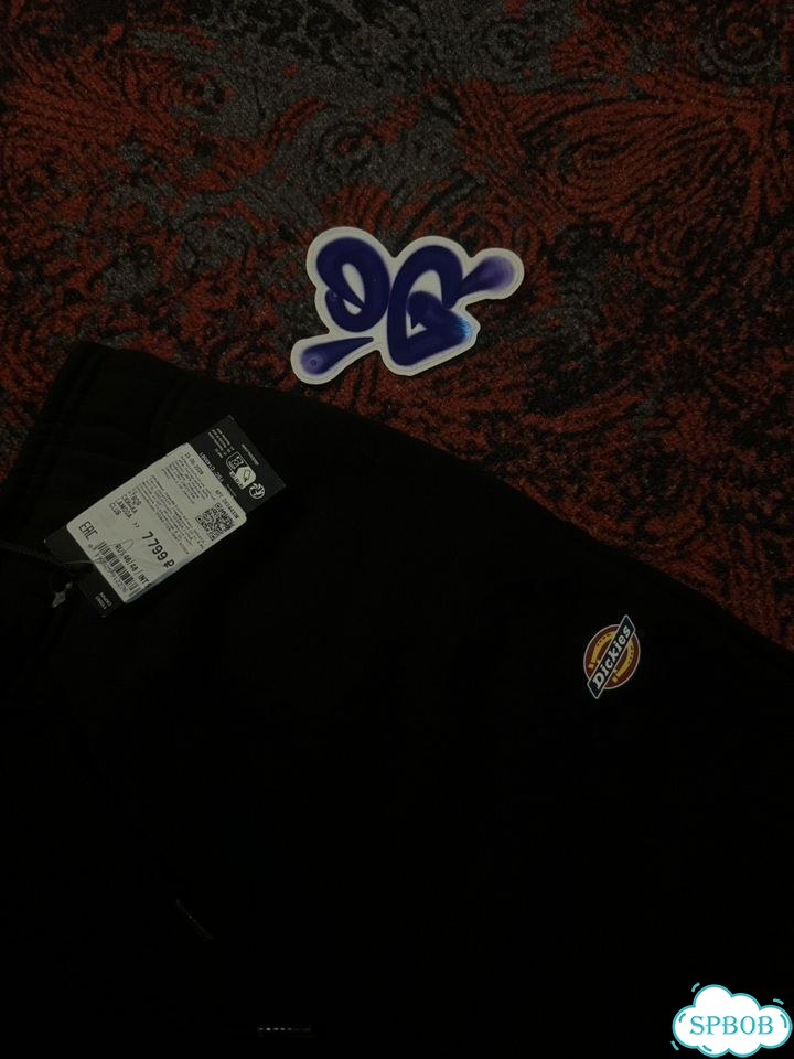 Спортивные штаны Dickies фото 4