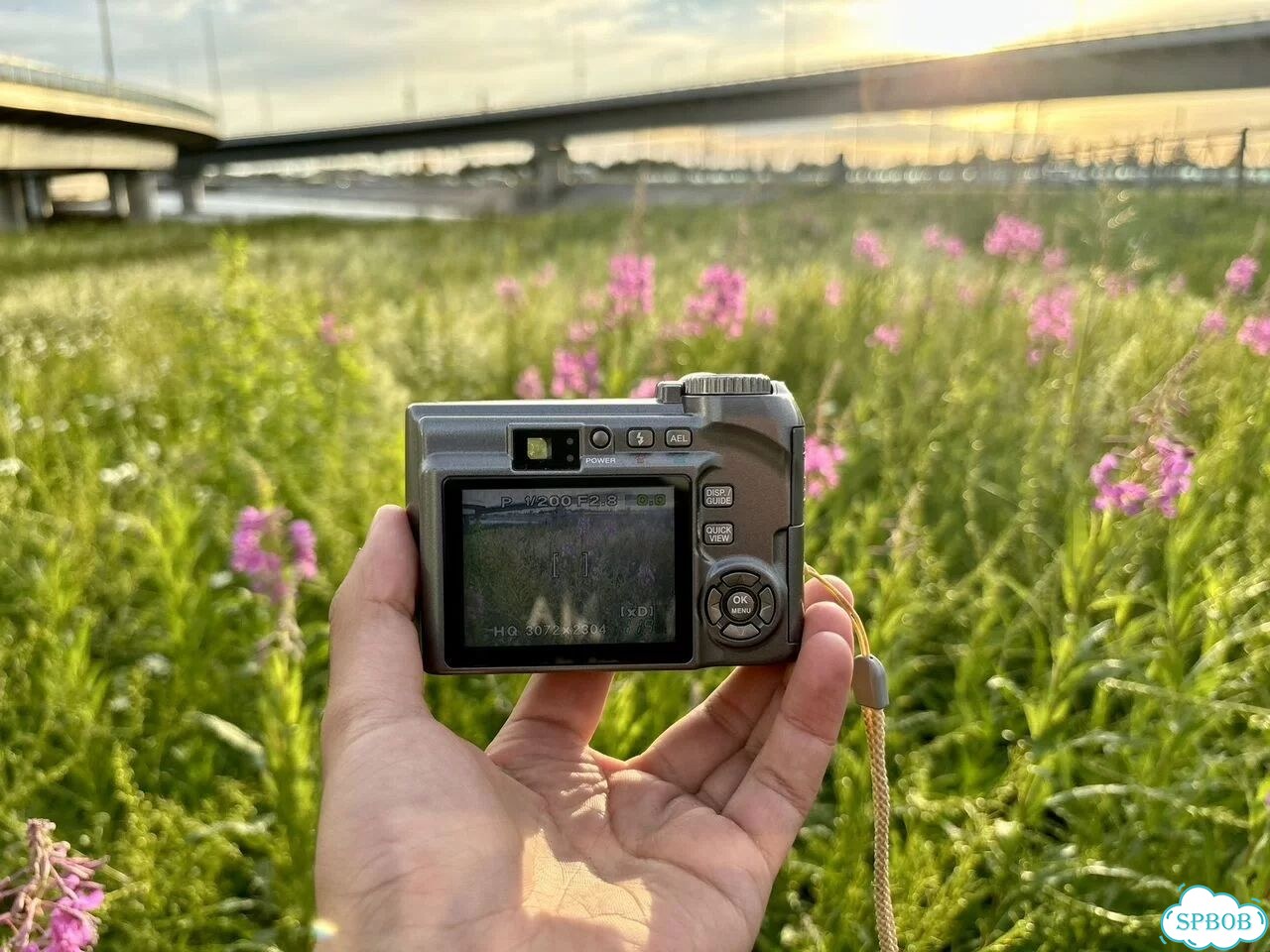 Olympus SP-320 цифровая мыльница Y2K фото 3