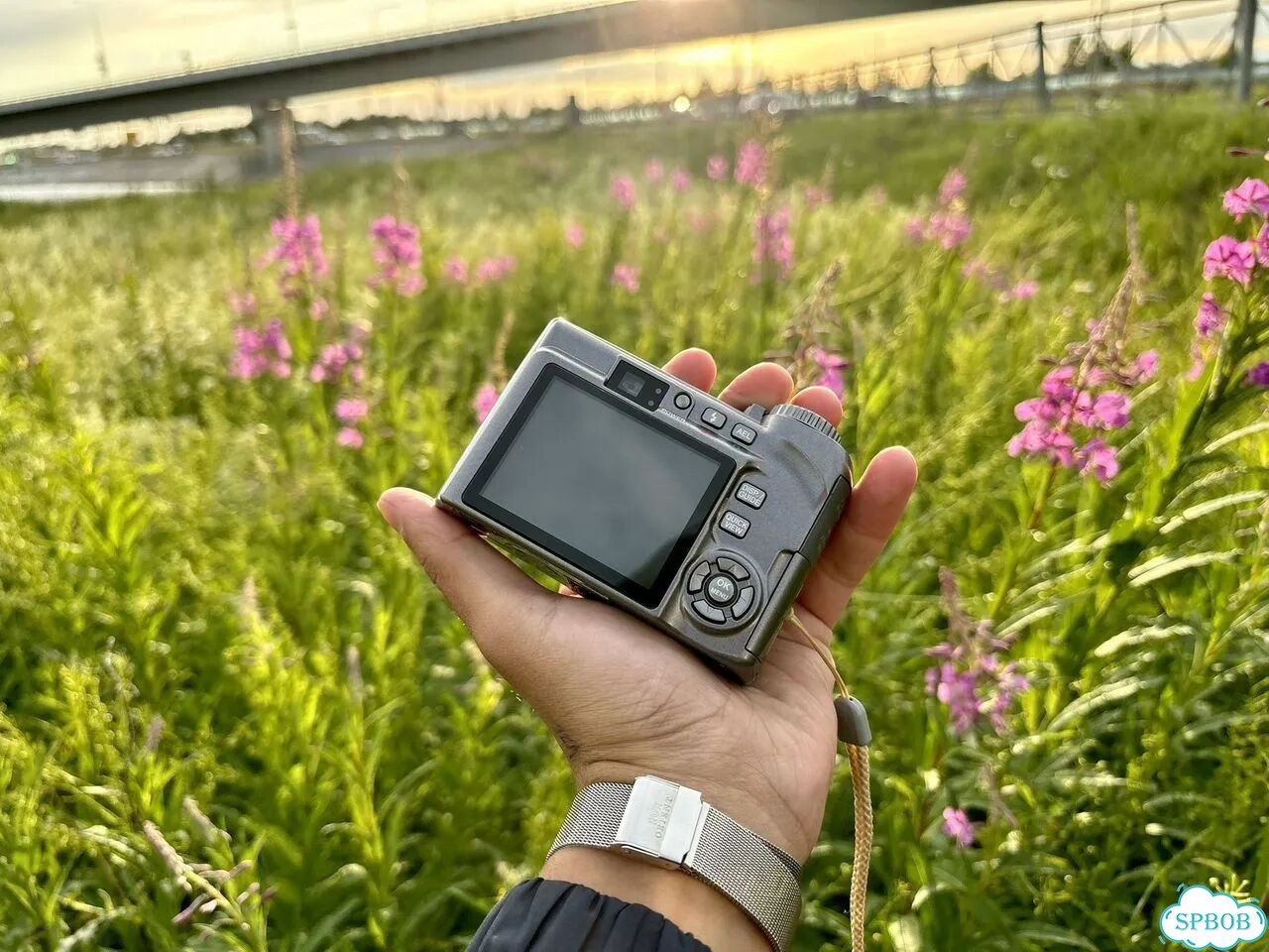 Olympus SP-320 цифровая мыльница Y2K фото 4