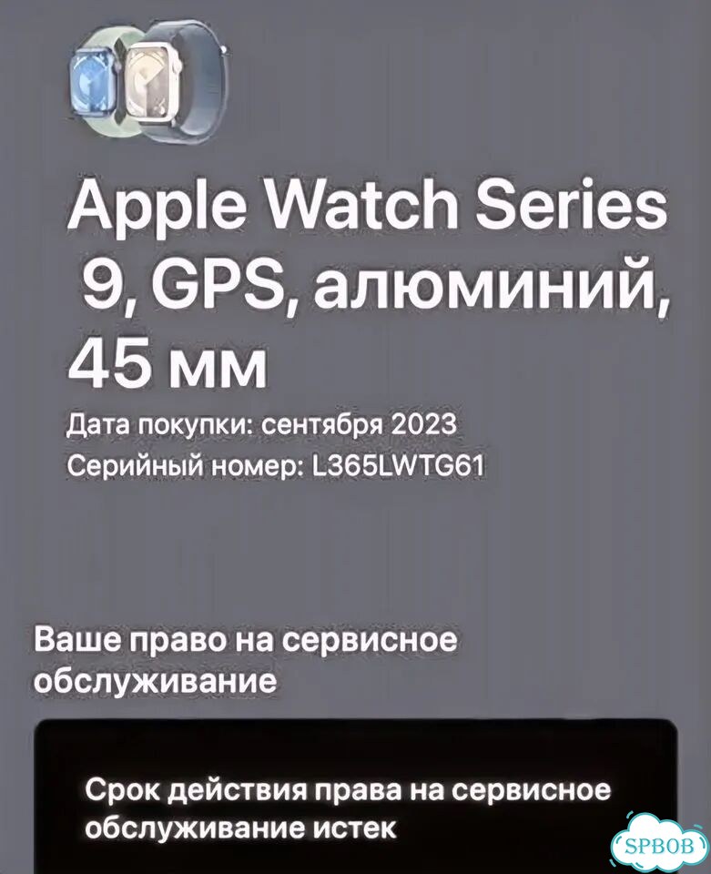 Часы apple watch 9 45 mm фото 8