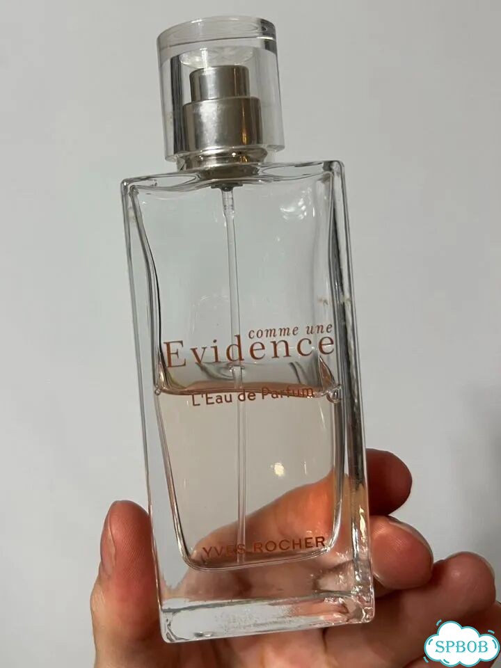 Ив роше Evidence 100мл фото 1