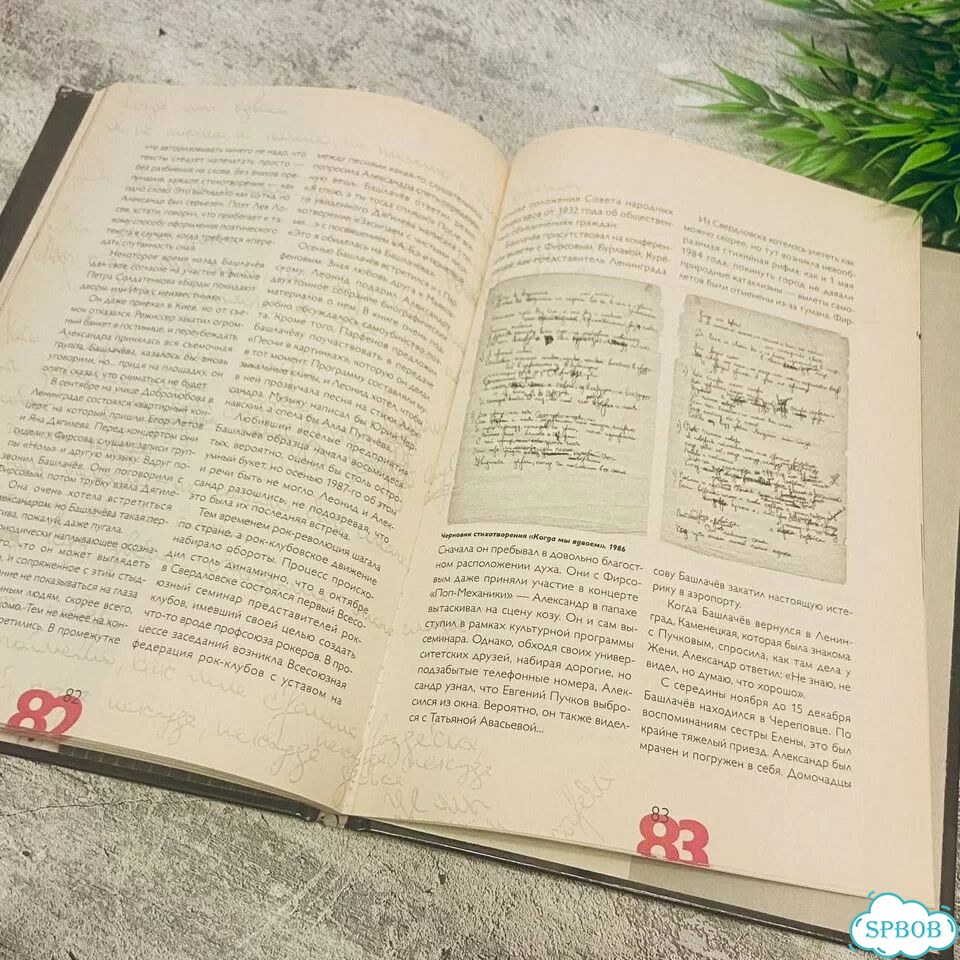 Александр Башлачев. Легенды Русского Рока фото 5