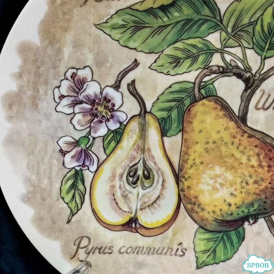 Винтажная декоративная тарелка Чехия Груша фото 3