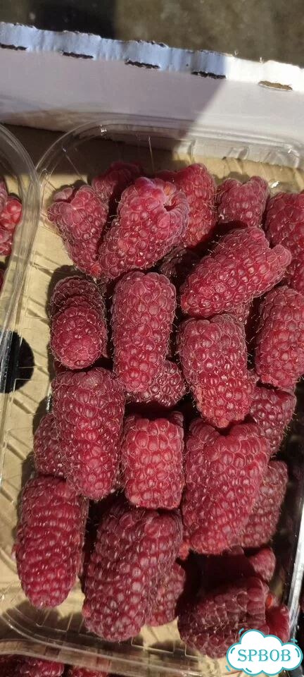 Малина премиум класса супер вкусная сладкая фото 10
