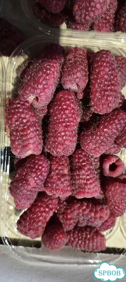 Малина премиум класса супер вкусная сладкая фото 2