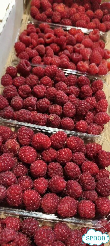 Малина премиум класса супер вкусная сладкая фото 5