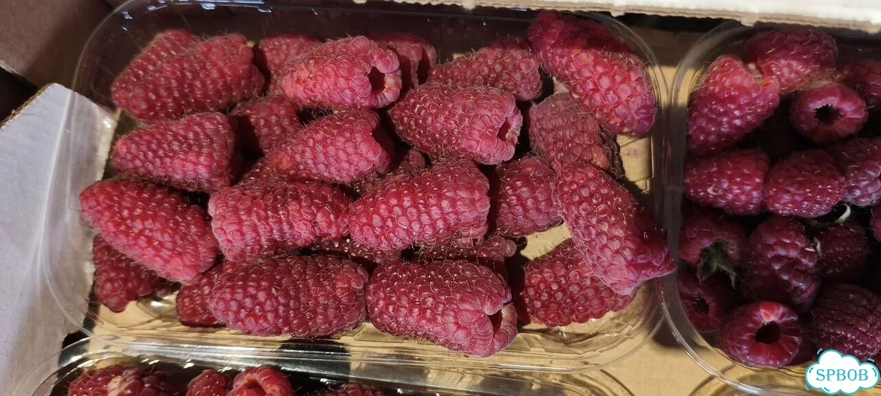 Малина премиум класса супер вкусная сладкая фото 9