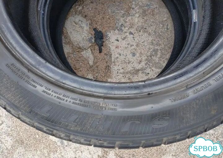 Triangle SJJP 195/55 R16 87H фото 6