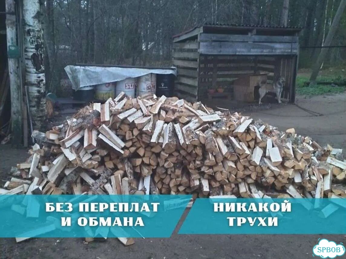 Дрова березовые. Колотые фото 1
