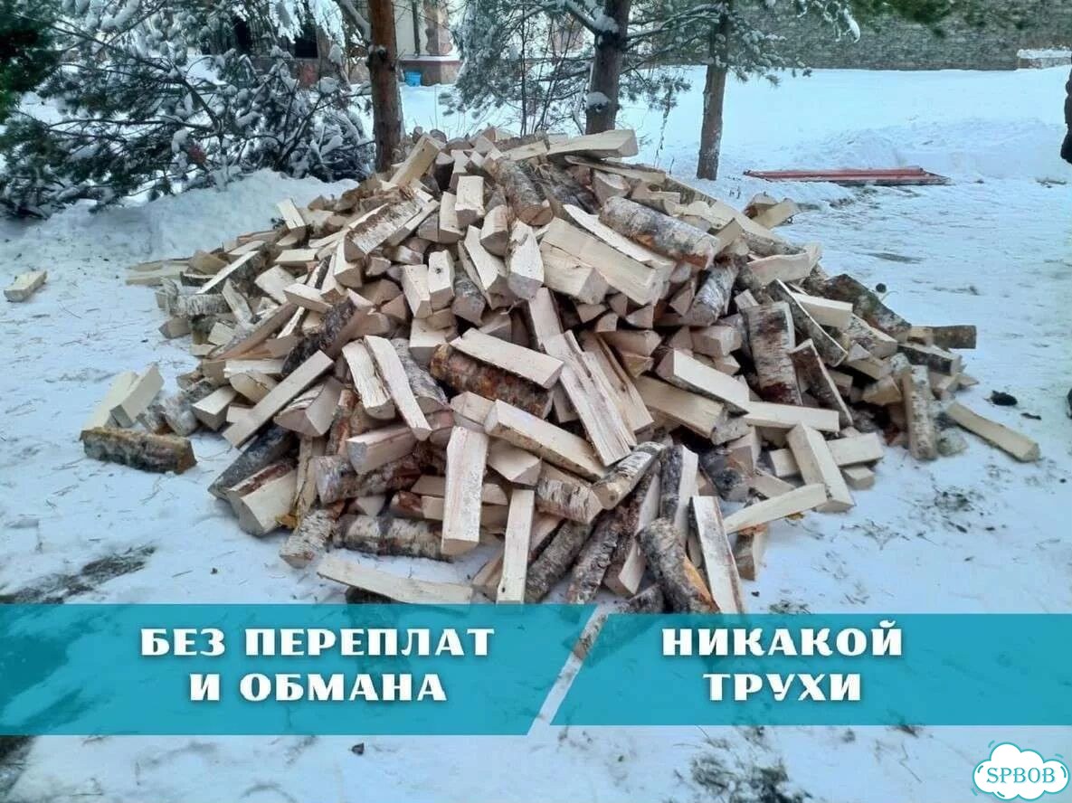 Дрова березовые от производителя фото 1