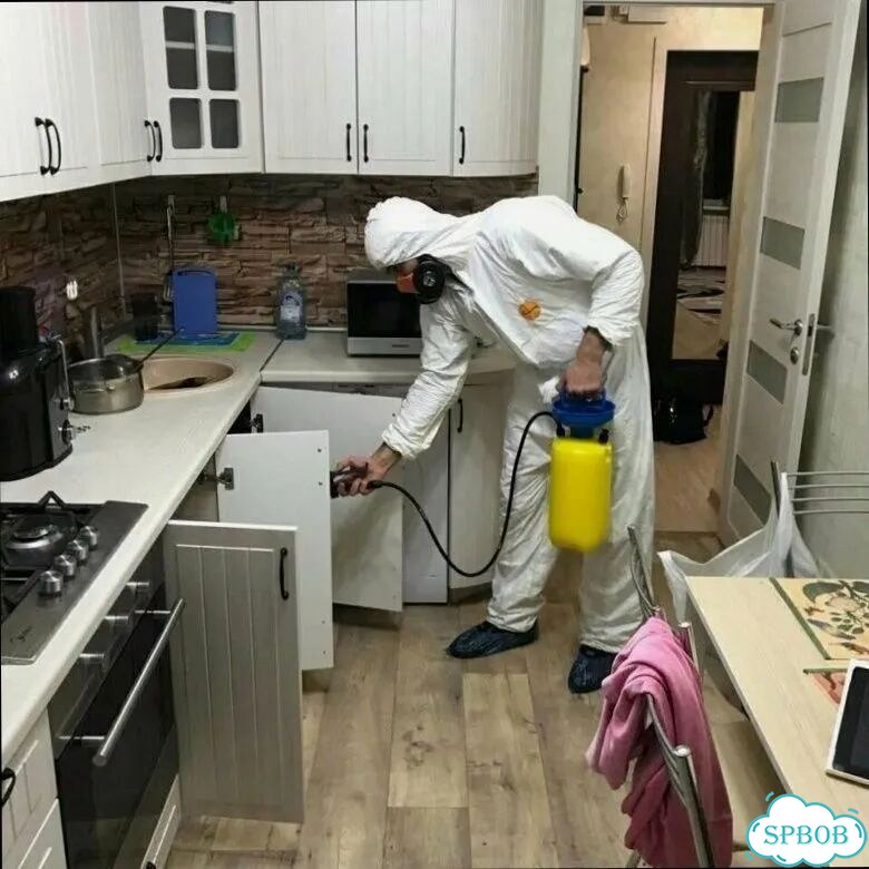 Уничтожение крыс и мышей/ Дератизация фото 1