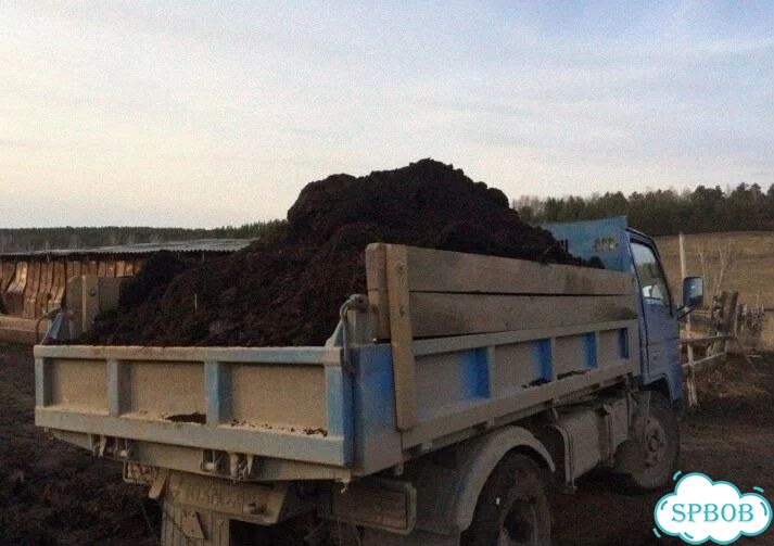 Чернозем плодородный фото 5