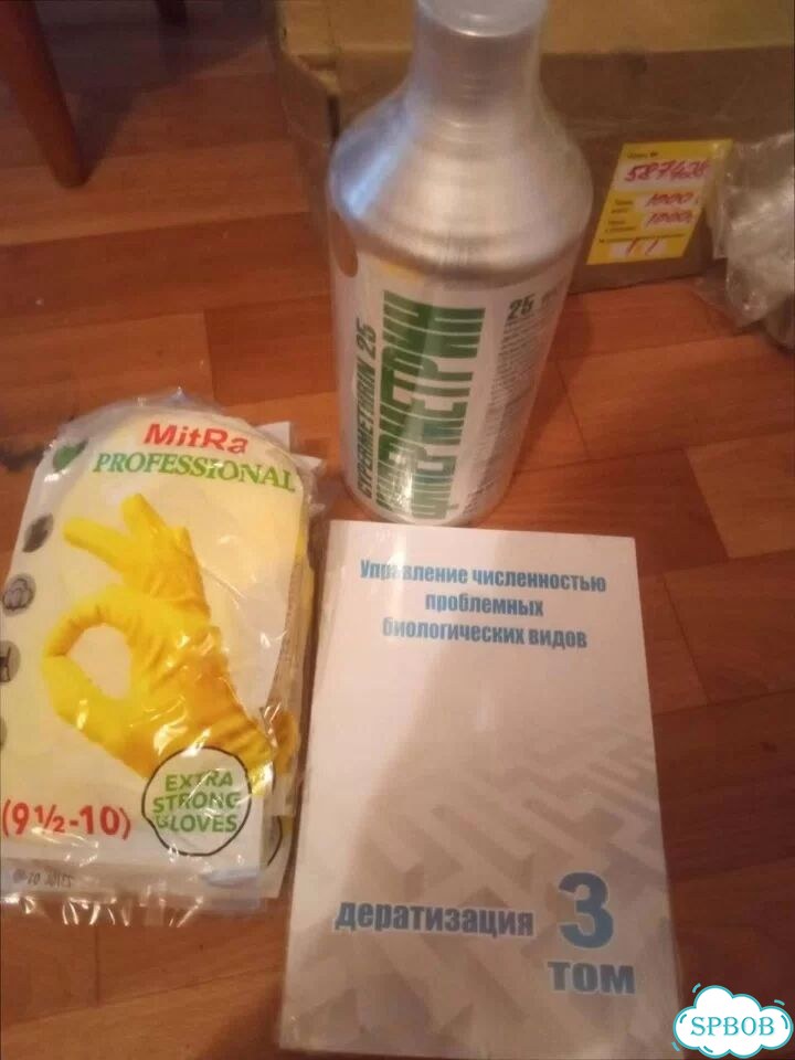 Уничтожение грызунов, крыс, мышей / Дератизация фото 3