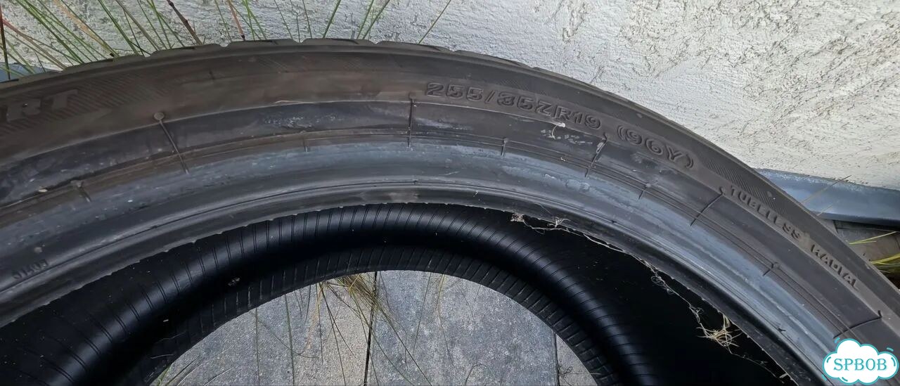 Bridgestone Potenza Sport 255/35 R19 96Y фото 3