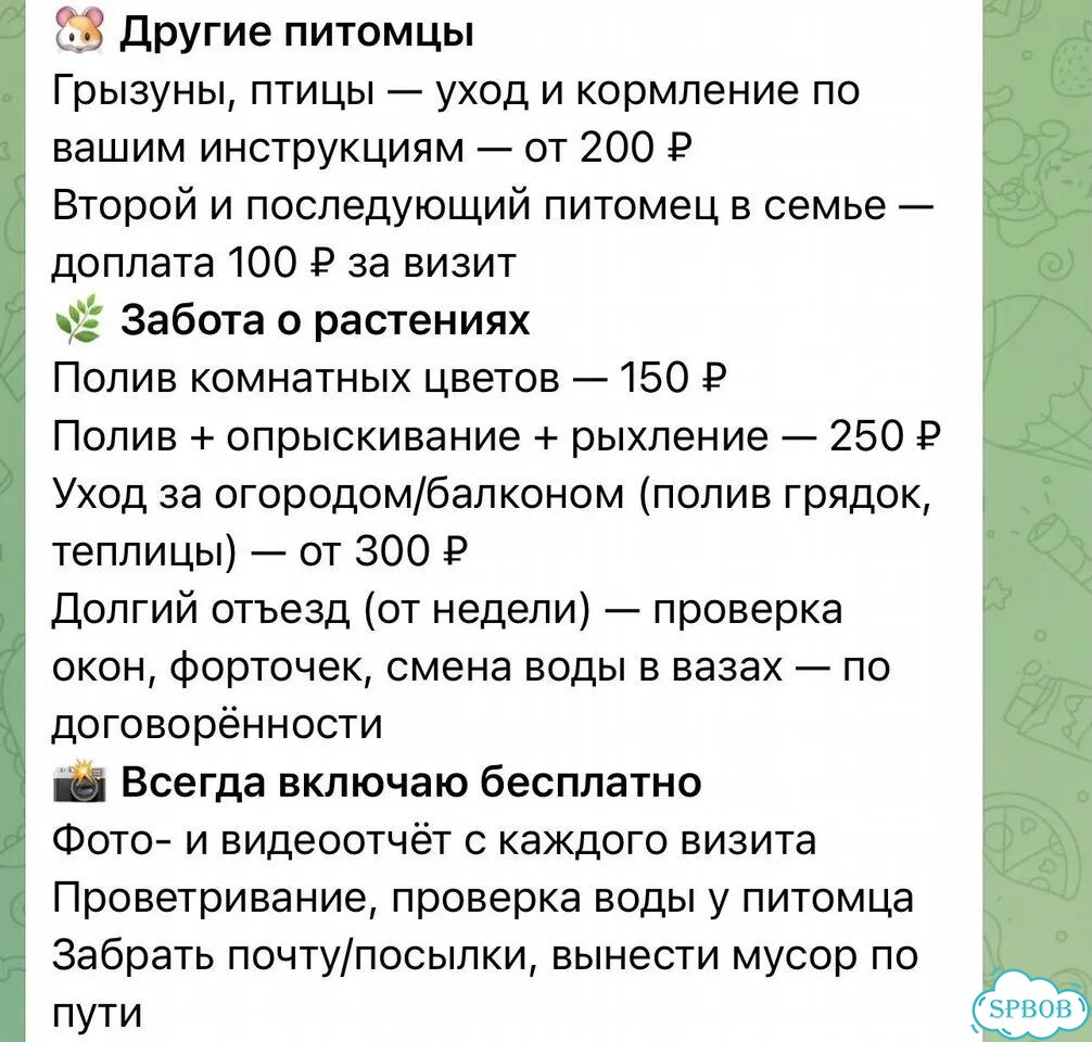 Котоняня Аннино фото 3