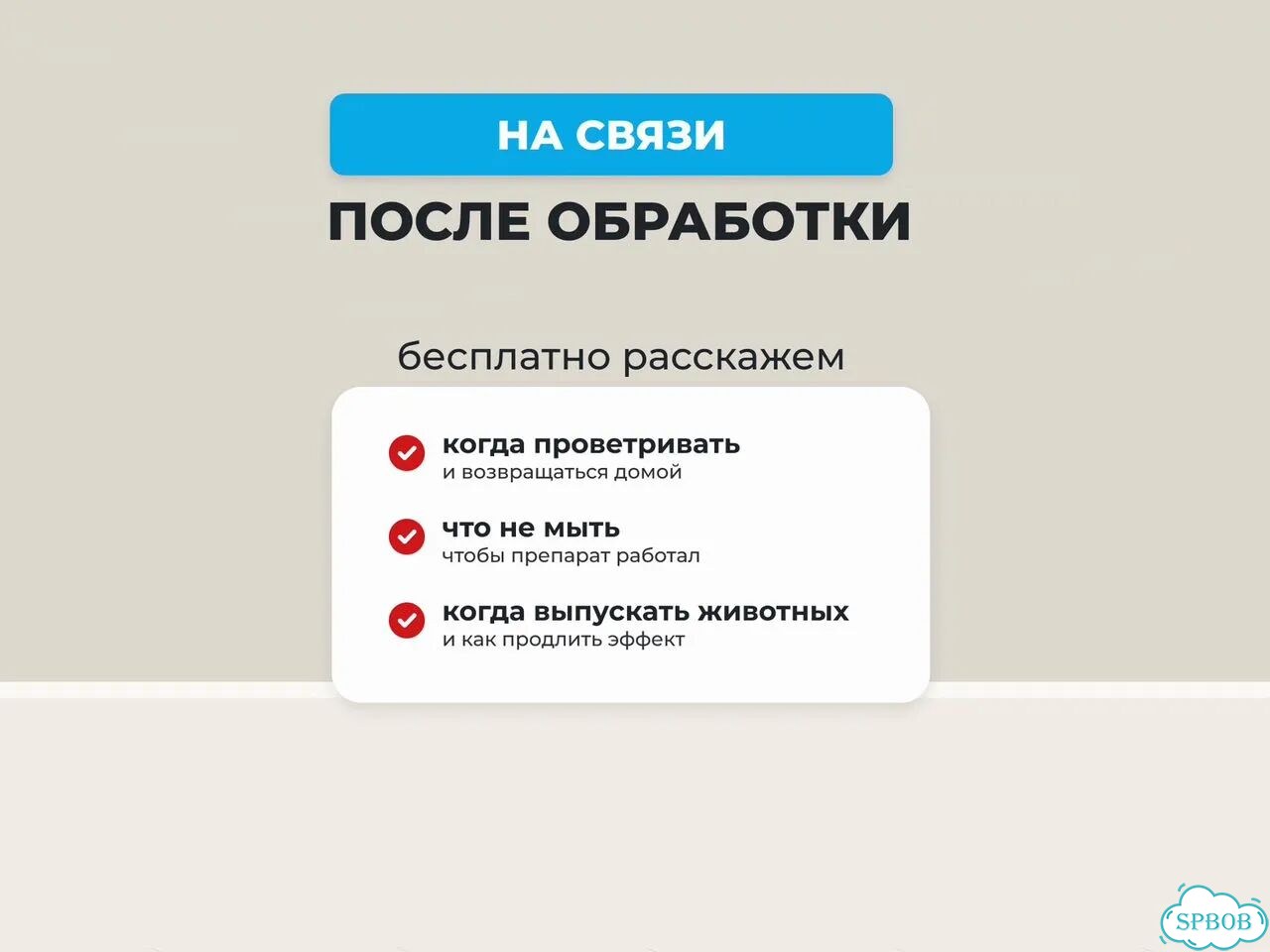 Уничтожение и обработка от клещей фото 6