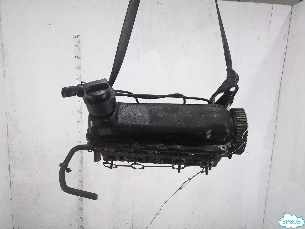 Головка блока (ГБЦ) Volkswagen Beetle AQY фото 1