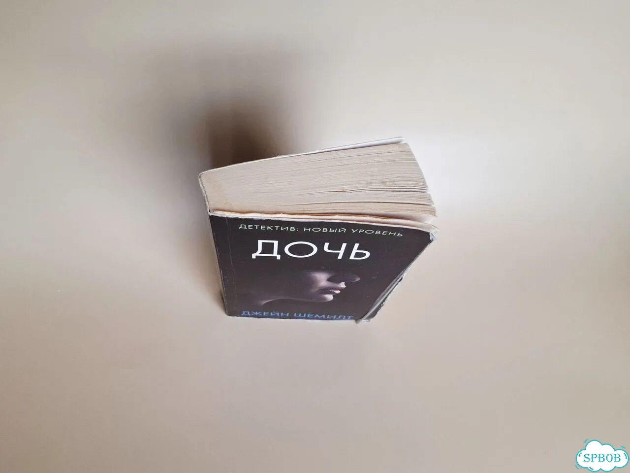 Книга Дочь Джейн Шемилт детектив триллер 2014 фото 2