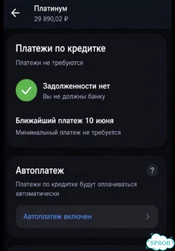Уберу проценты по кредитке сбербанк т-банк фото 4