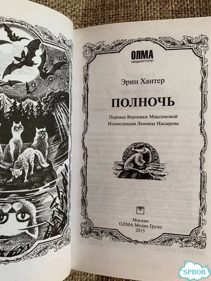 Коты воители Полночь 2 цикл фото 3