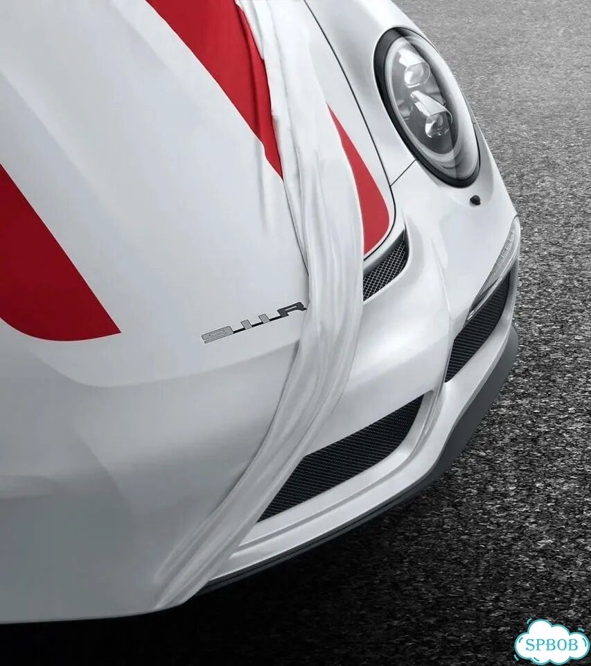 Чехол для автомобиля Porsche 911 R оригинал фото 1
