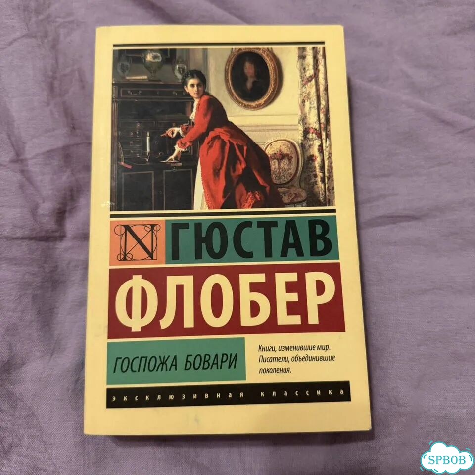 Госпожа Бовари, Флобер фото 1