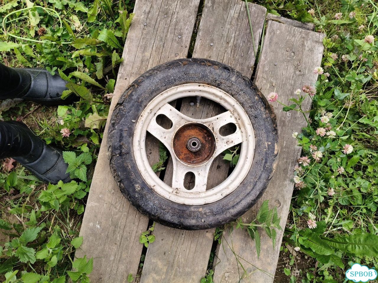 Колесо honda Dio 27 фото 2