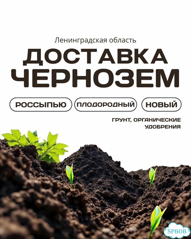 Чернозем тофрфо-грунт, сеяная земля фото 1