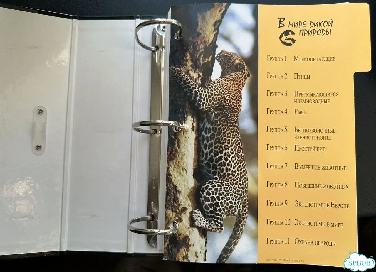 Энциклопедия фото 3
