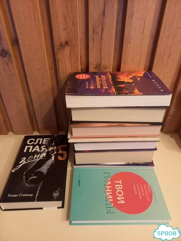 Книги Новые Санд/Анна Джейн/Левин и другие фото 2