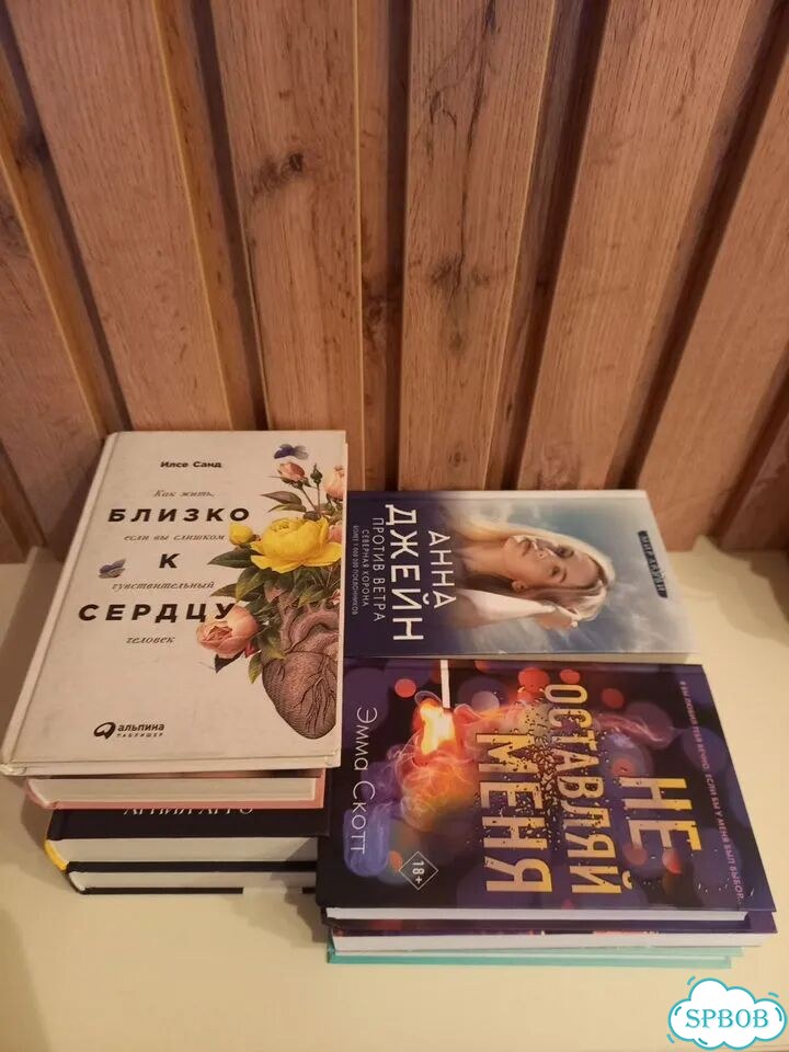 Книги Новые Санд/Анна Джейн/Левин и другие фото 4