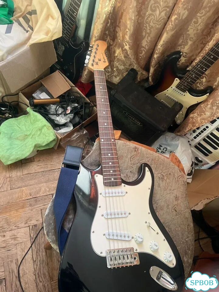 Электрогитара fretmaster фото 1