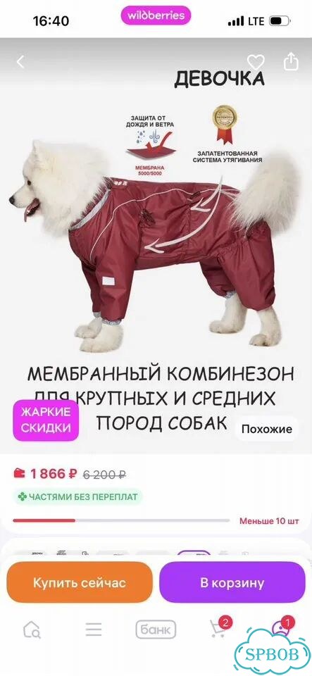 Мембранный Комбинезон для собаки девочки фото 11