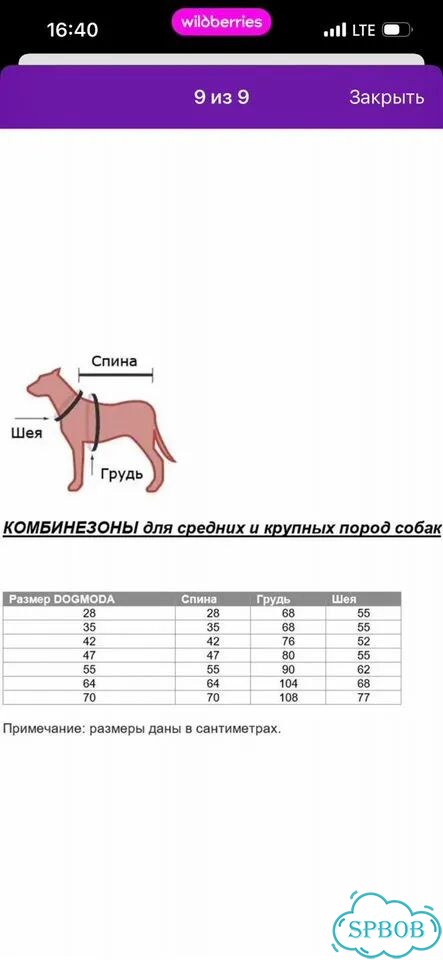 Мембранный Комбинезон для собаки девочки фото 7