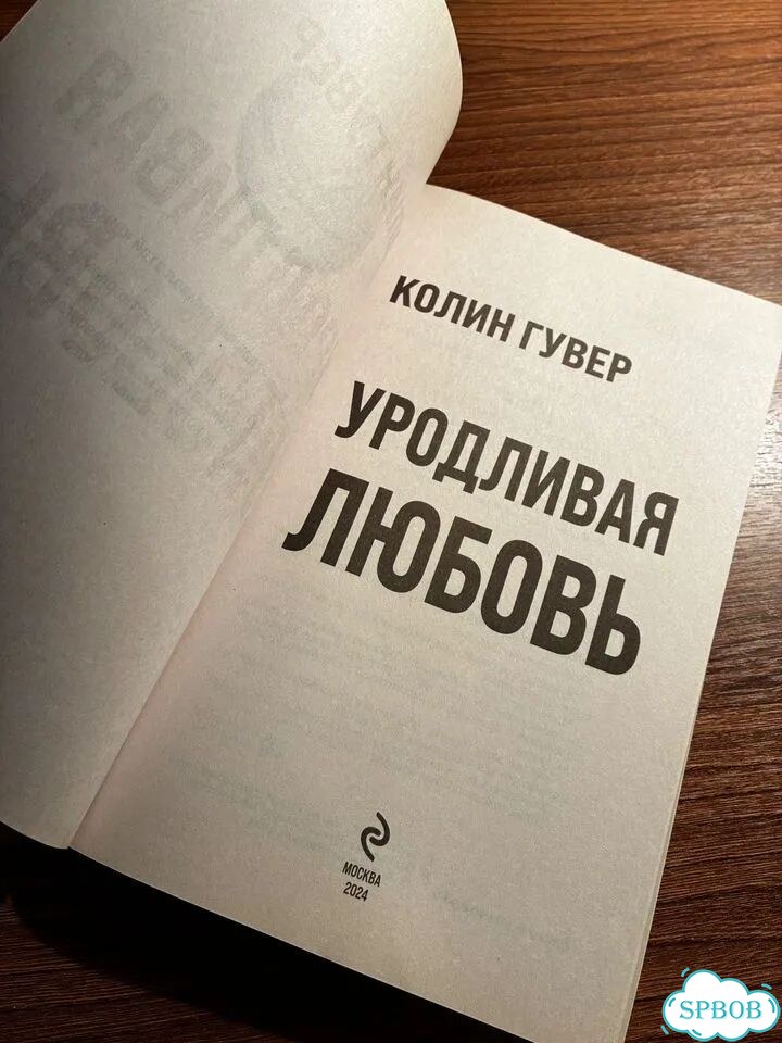 Книга «Уродливая любовь» Гувер фото 2