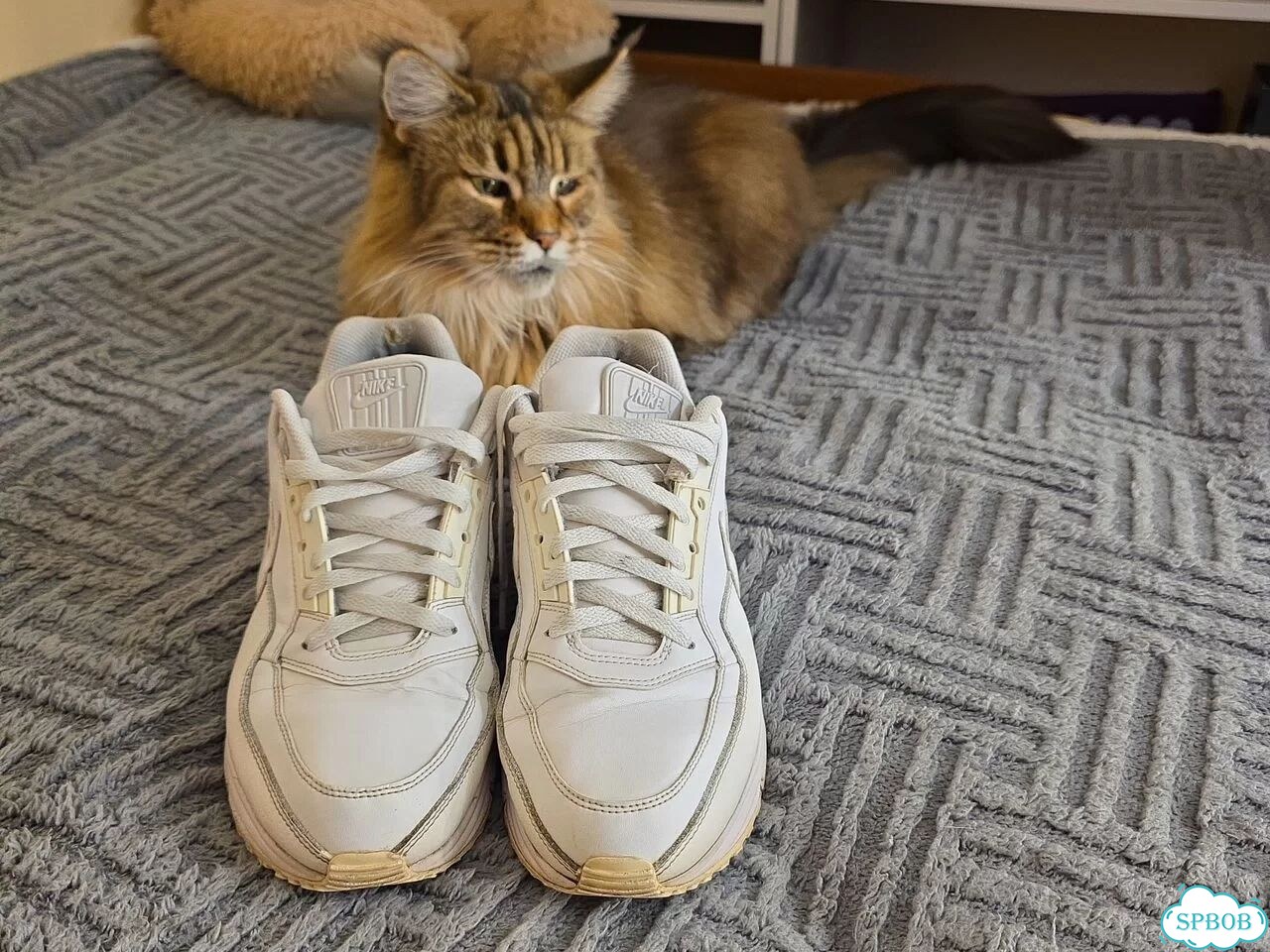 Кроссовки мужские nike air max 90 фото 1