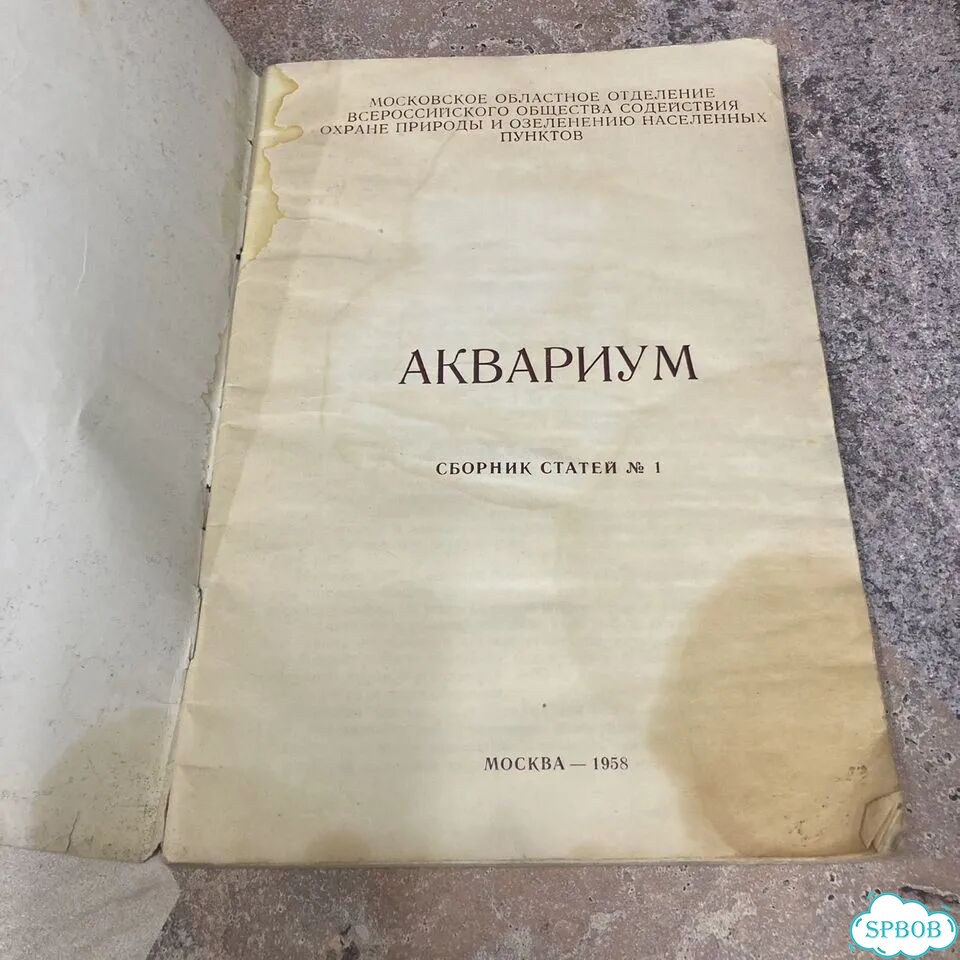 Аквариум 1958г фото 2