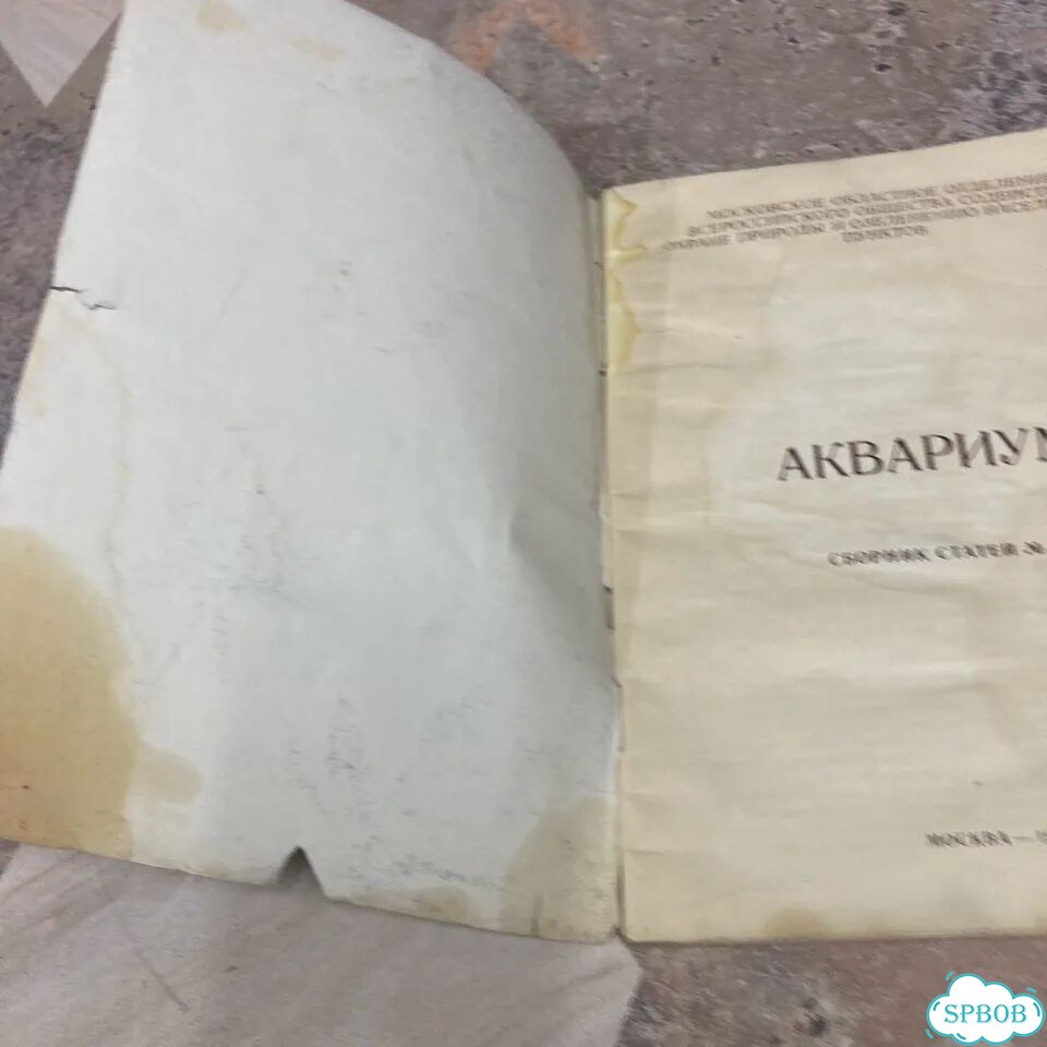 Аквариум 1958г фото 3