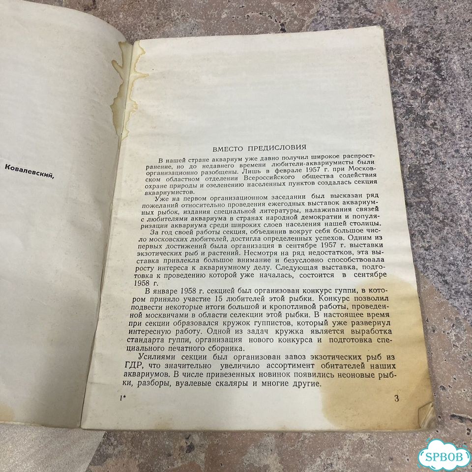Аквариум 1958г фото 4