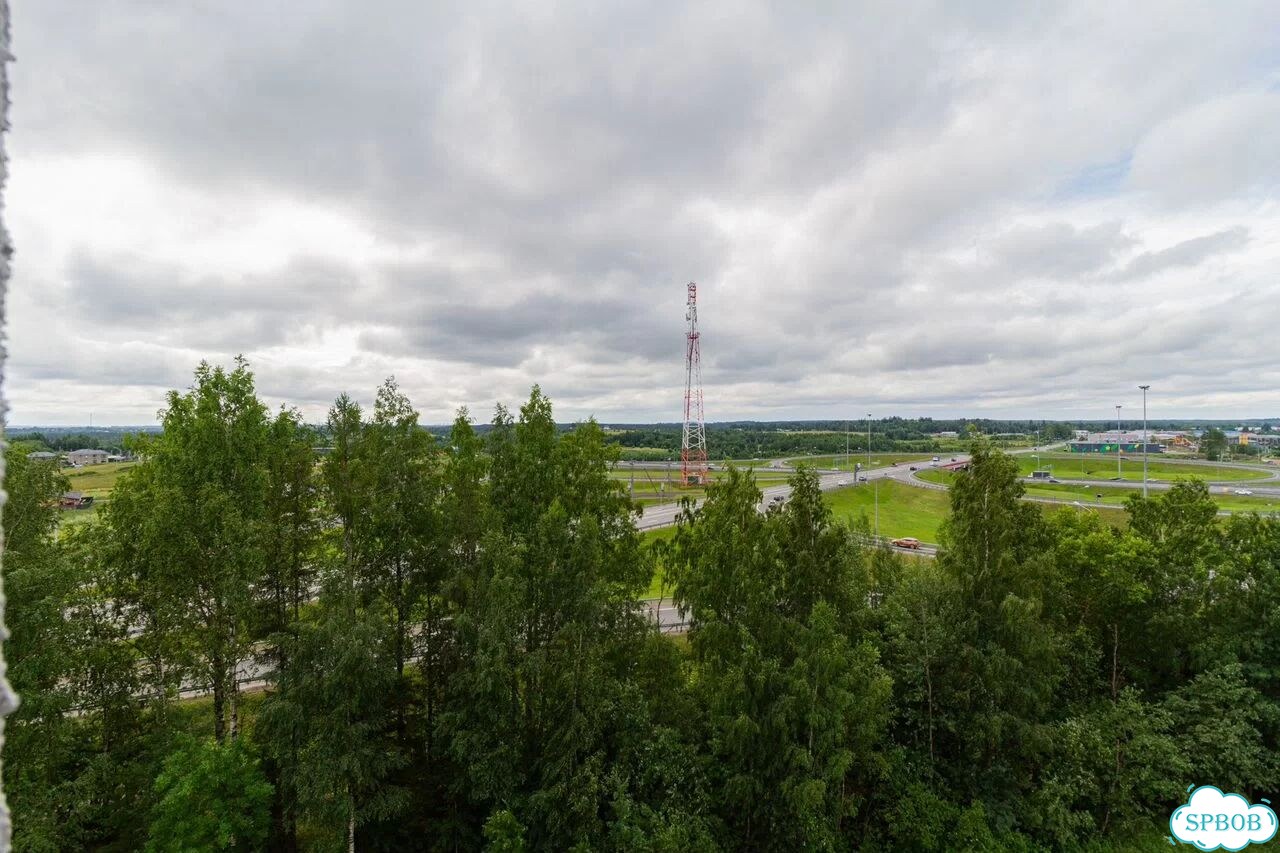 1-к. квартира, 38,2 м², 8/8 эт. фото 3