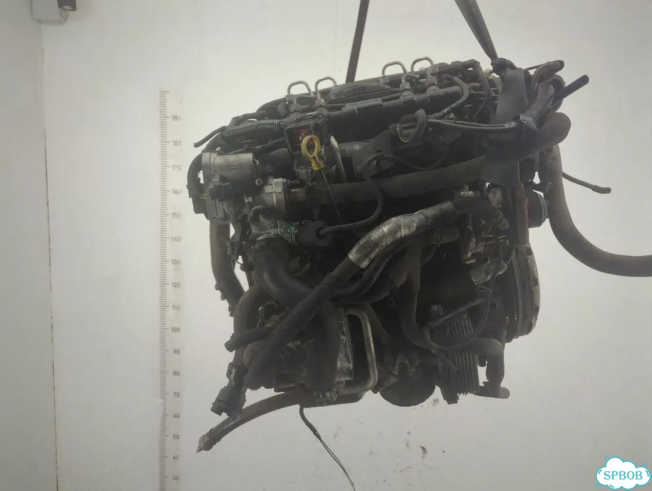 Двигатель Ford Mondeo 3 N7BA, N7BB фото 3
