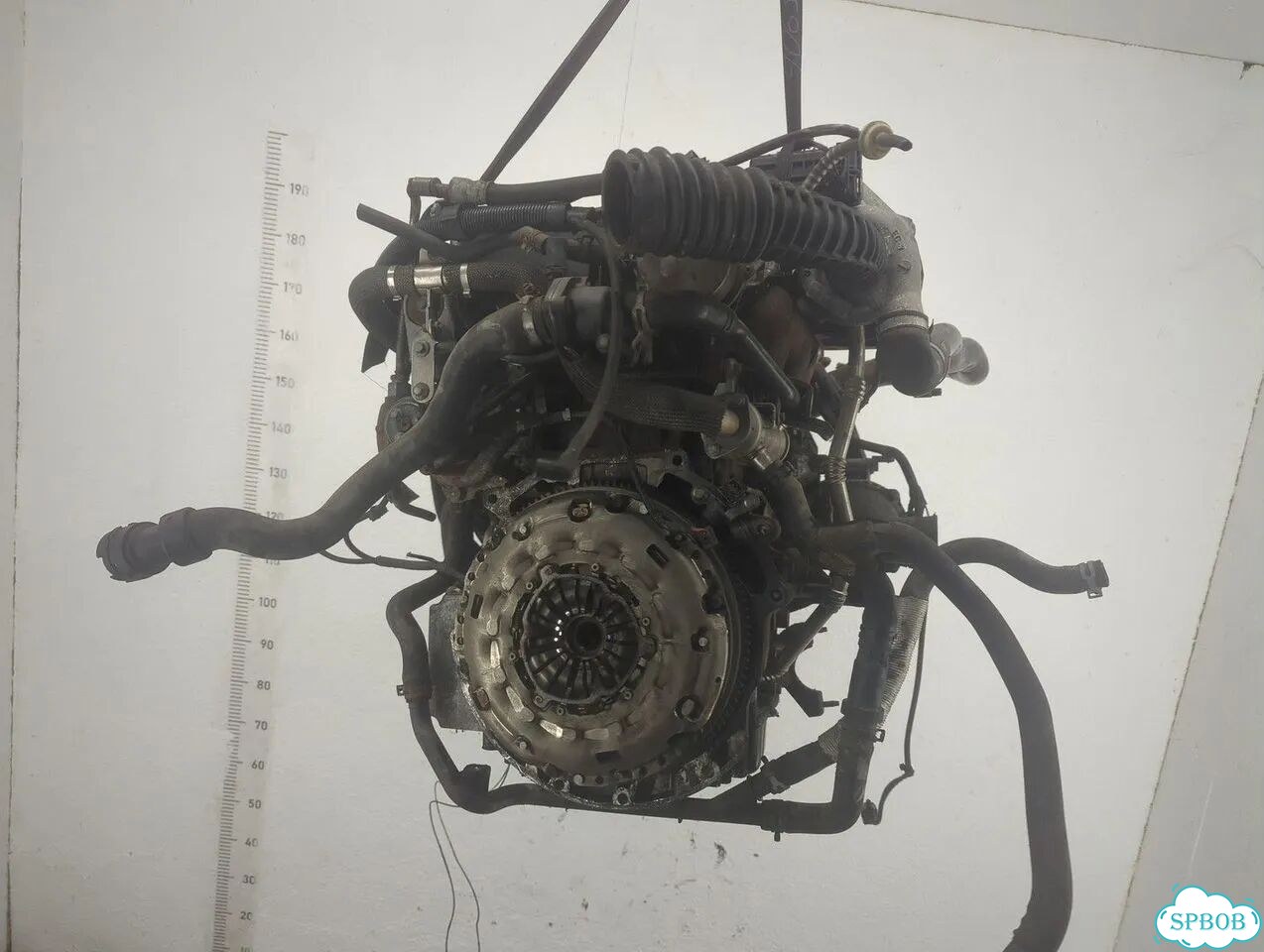 Двигатель Ford Mondeo 3 N7BA, N7BB фото 4