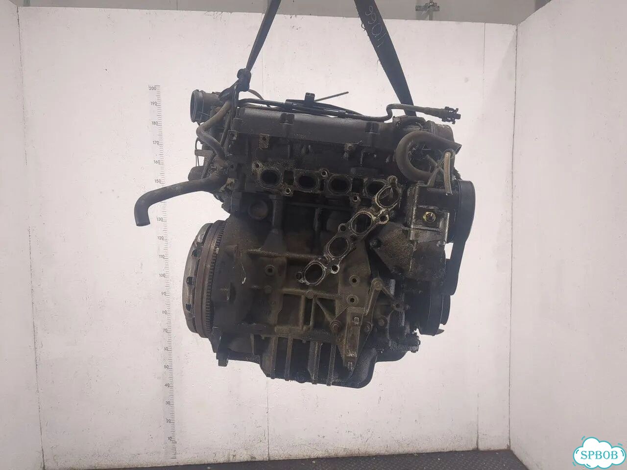 Двигатель Ford Focus 1 FYD фото 1