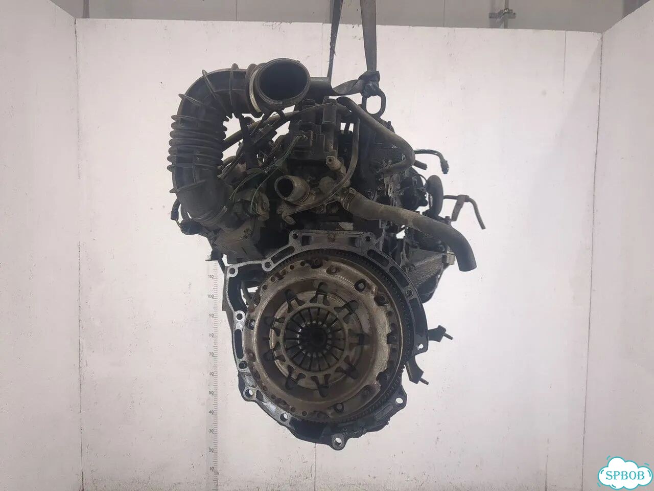 Двигатель Ford Focus 1 FYD фото 3